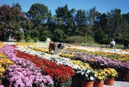 Hey, good lookin' ...