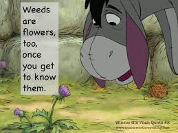 A.A. Milne was a wise man.